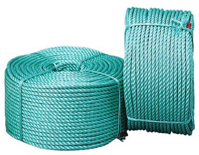 Hovedbilde Danline 10mm 110m
