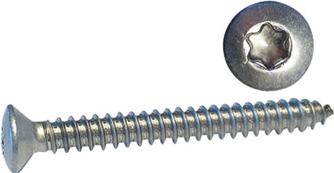 Hovedbilde Syrefaste skruer A4, linsehode, torx